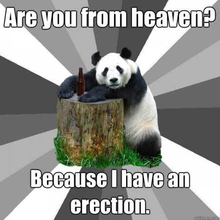 Pickup Line Panda